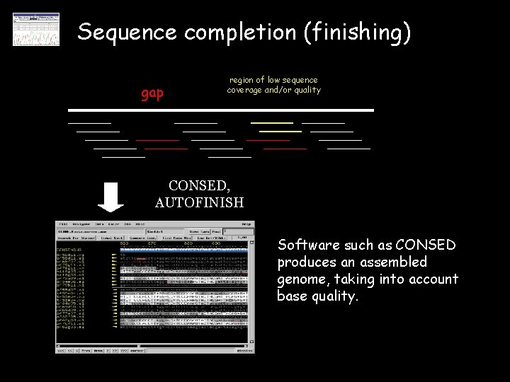 Sequence completion (finishing) gap region of low sequence coverage and/or quality CONSED, AUTOFINISH Software