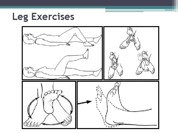 Leg Exercises 