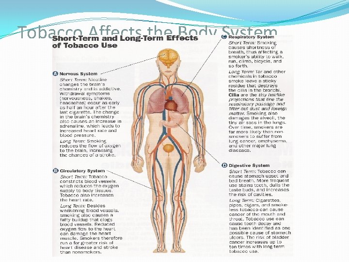 Tobacco Affects the Body System 