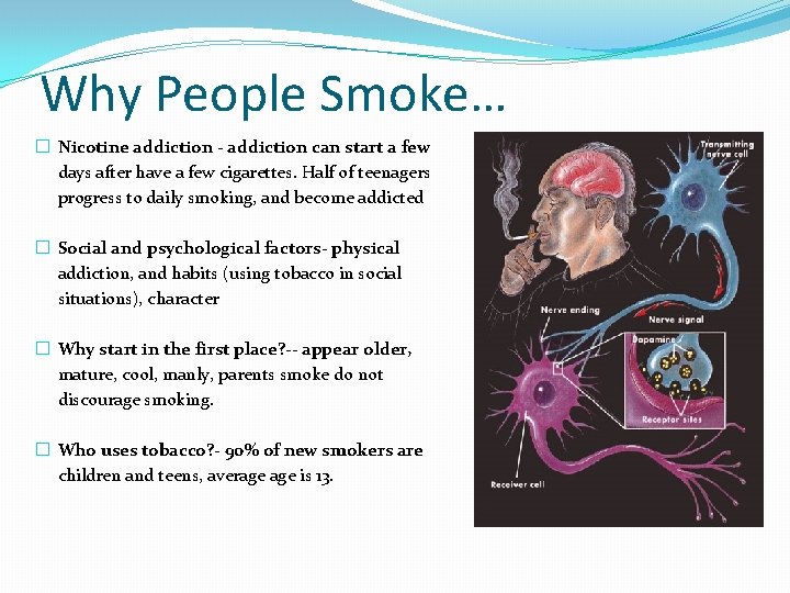 Why People Smoke… � Nicotine addiction - addiction can start a few days after