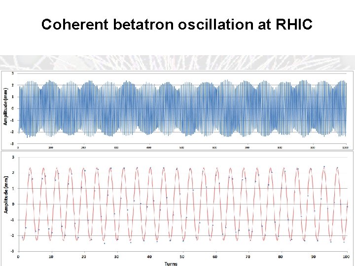 Coherent betatron oscillation at RHIC Mei Bai BND School, Sept. 1 -6, 2015 