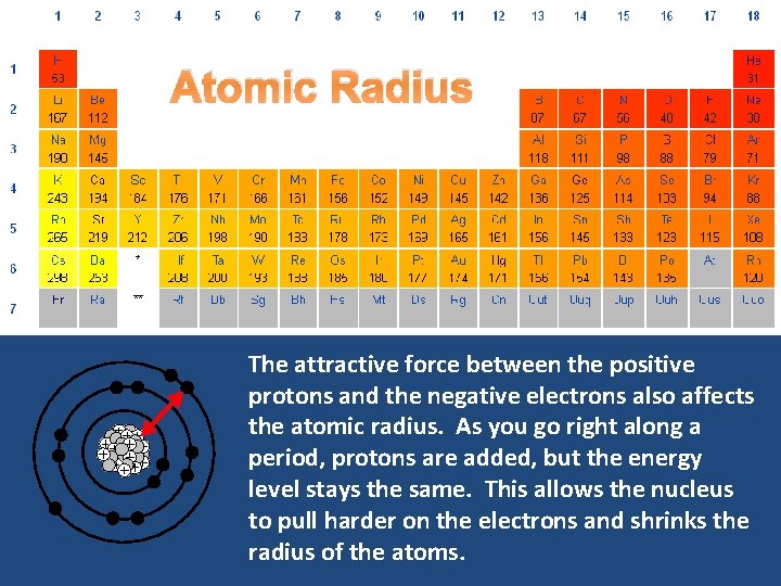Atomic Radius The attractive force between the positive protons and the negative electrons also