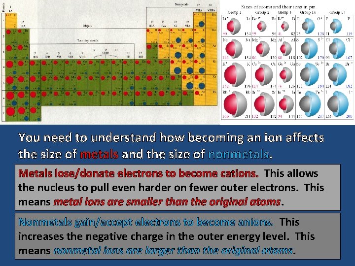 You need to understand how becoming an ion affects the size of metals and