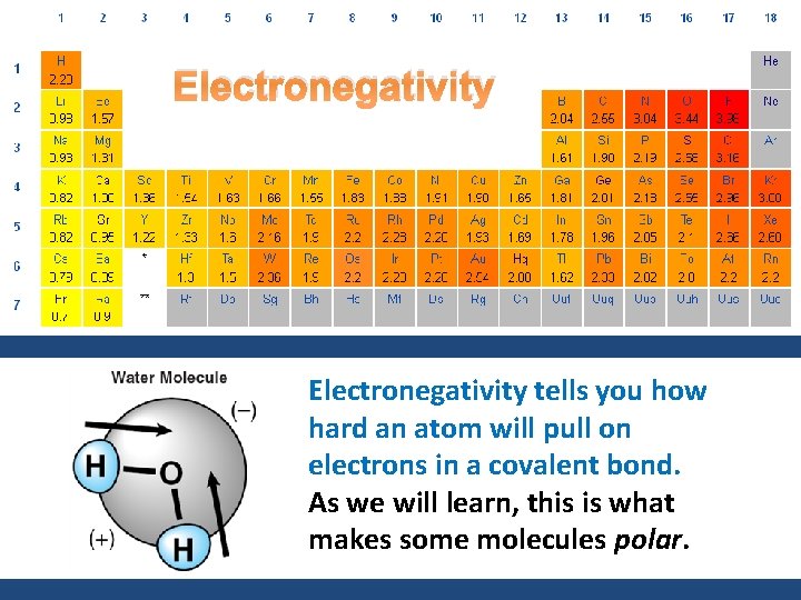 Electronegativity tells you how hard an atom will pull on electrons in a covalent