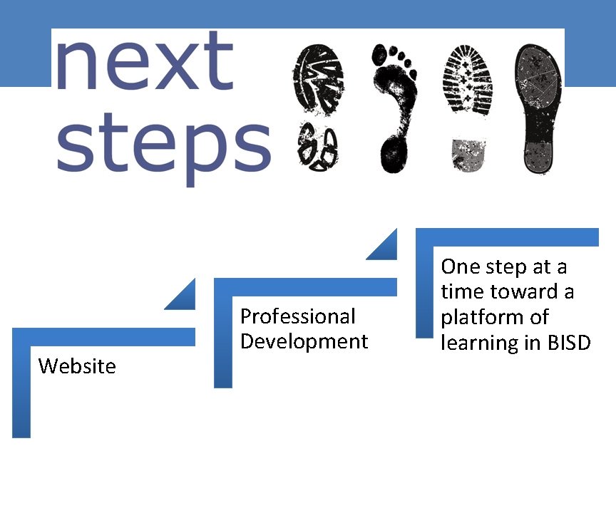 Website Professional Development One step at a time toward a platform of learning in