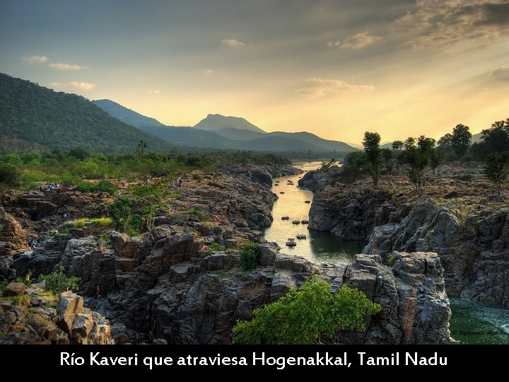 Río Kaveri que atraviesa Hogenakkal, Tamil Nadu 