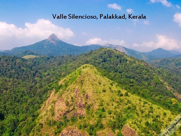 Valle Silencioso, Palakkad, Kerala 