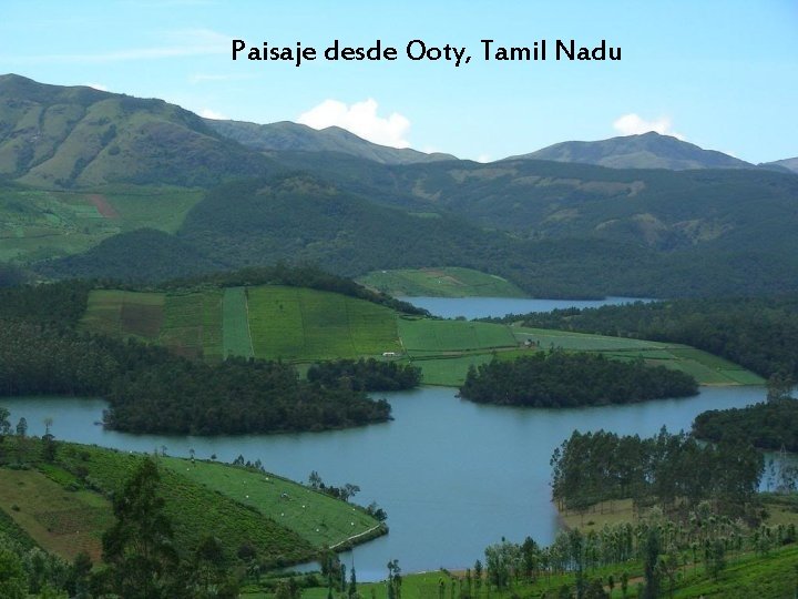 Paisaje desde Ooty, Tamil Nadu 