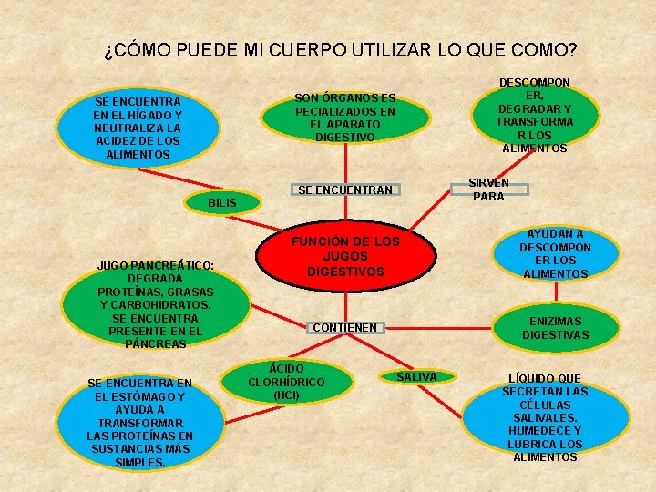 ¿CÓMO PUEDE MI CUERPO UTILIZAR LO QUE COMO? DESCOMPON ER, DEGRADAR Y TRANSFORMA R