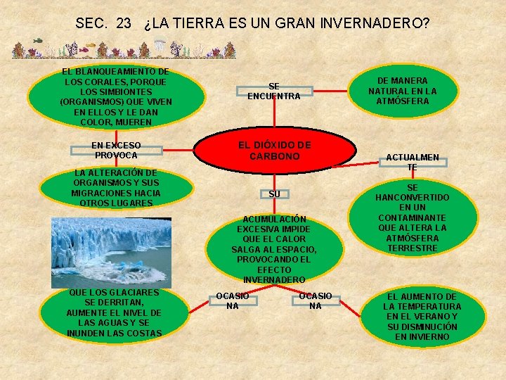 SEC. 23 ¿LA TIERRA ES UN GRAN INVERNADERO? EL BLANQUEAMIENTO DE LOS CORALES, PORQUE