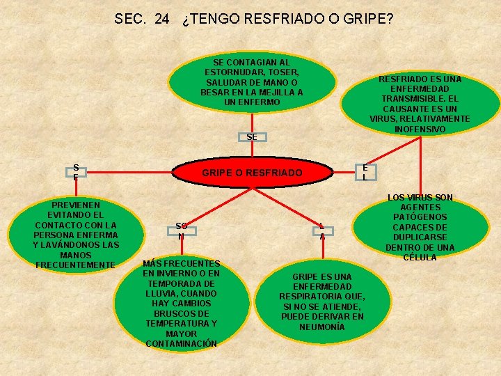 SEC. 24 ¿TENGO RESFRIADO O GRIPE? SE CONTAGIAN AL ESTORNUDAR, TOSER, SALUDAR DE MANO