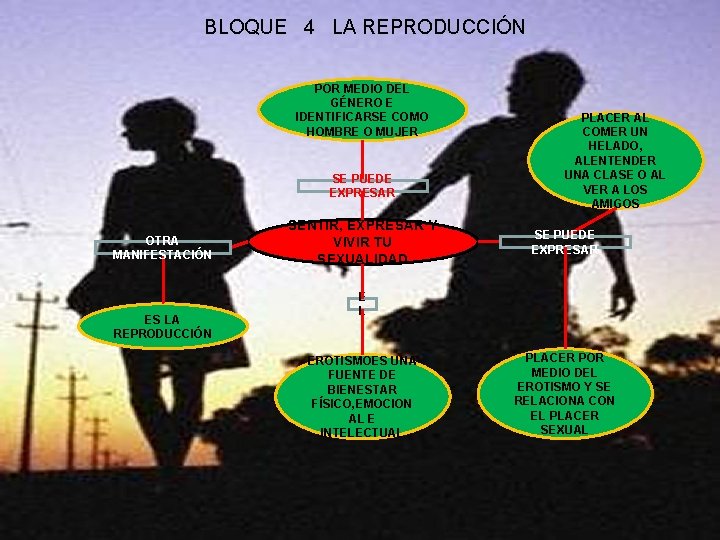 BLOQUE 4 LA REPRODUCCIÓN POR MEDIO DEL GÉNERO E IDENTIFICARSE COMO HOMBRE O MUJER