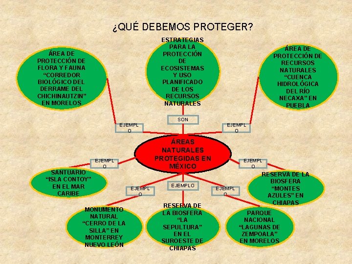 ¿QUÉ DEBEMOS PROTEGER? ESTRATEGIAS PARA LA PROTECCIÓN DE ECOSISTEMAS Y USO PLANIFICADO DE LOS