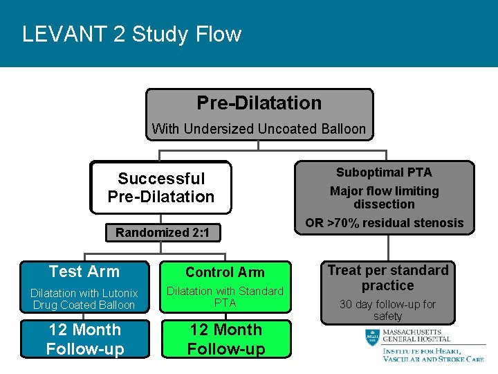 LEVANT 2 Study Flow Pre-Dilatation With Undersized Uncoated Balloon Successful Pre-Dilatation Randomized 2: 1