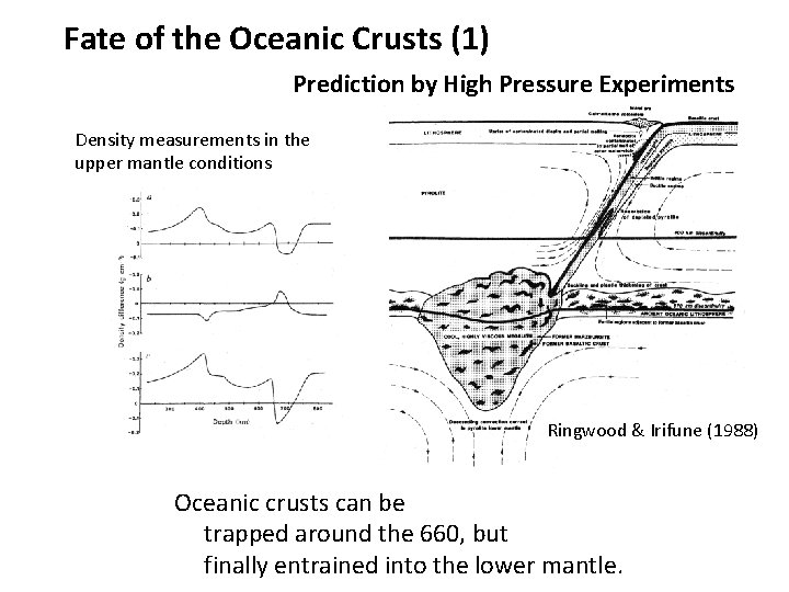 Fate of the Oceanic Crusts (1) Prediction by High Pressure Experiments Density measurements in