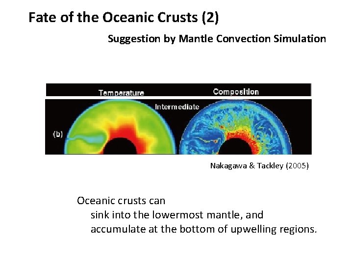 Fate of the Oceanic Crusts (2) Suggestion by Mantle Convection Simulation Nakagawa & Tackley