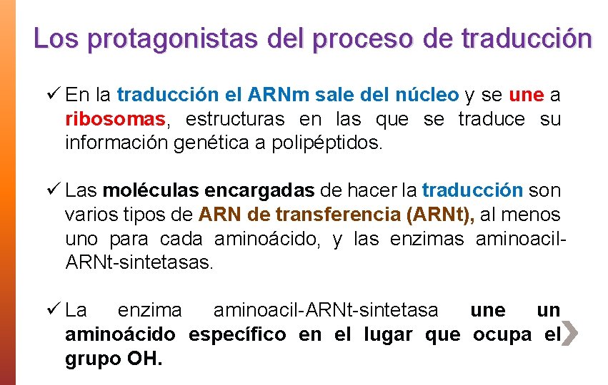 Los protagonistas del proceso de traducción ü En la traducción el ARNm sale del