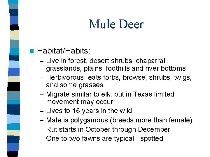Mule Deer n Habitat/Habits: – Live in forest, desert shrubs, chaparral, grasslands, plains, foothills