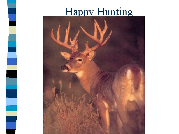 Happy Hunting 