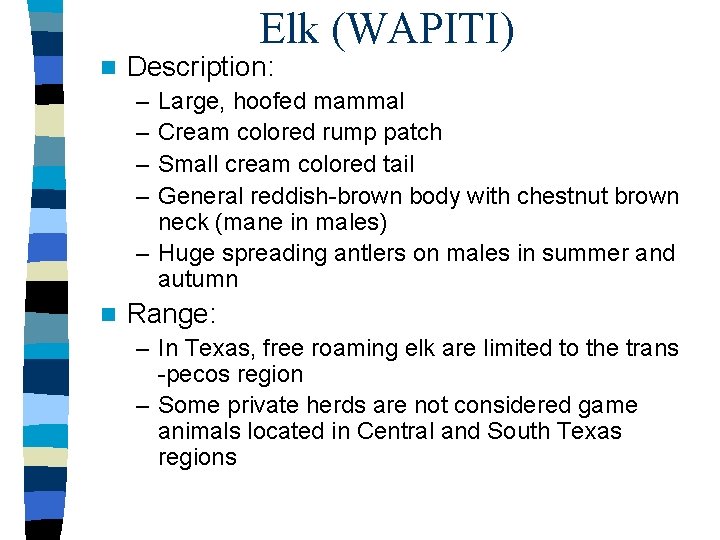 Elk (WAPITI) n Description: – – Large, hoofed mammal Cream colored rump patch Small