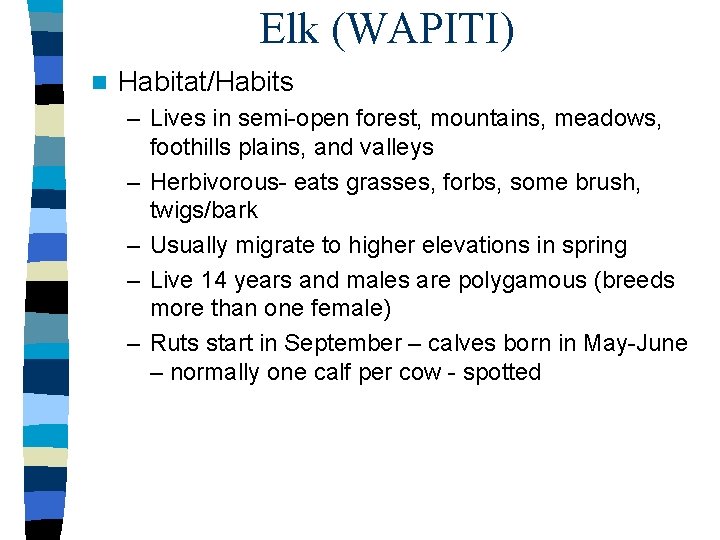 Elk (WAPITI) n Habitat/Habits – Lives in semi-open forest, mountains, meadows, foothills plains, and