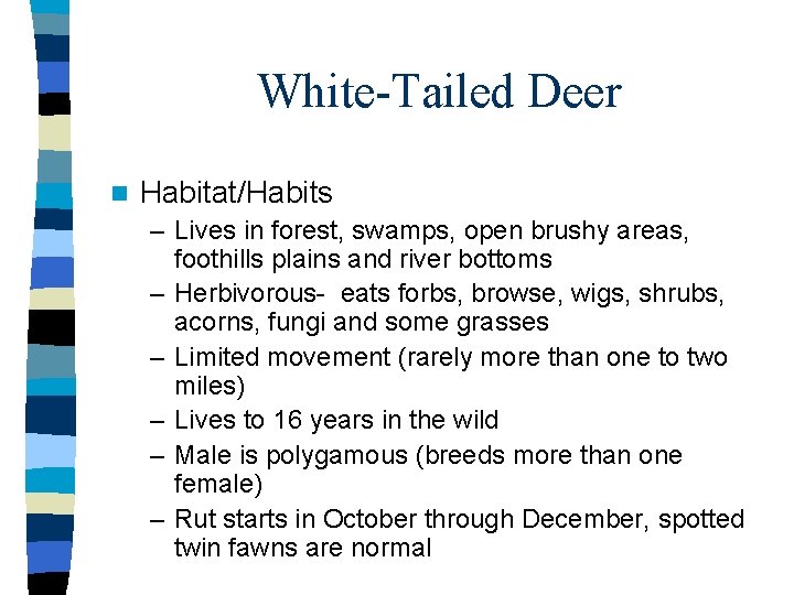 White-Tailed Deer n Habitat/Habits – Lives in forest, swamps, open brushy areas, foothills plains