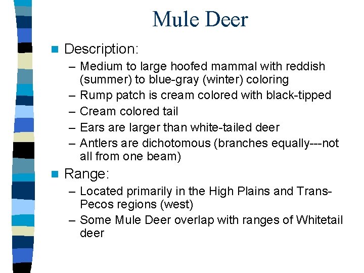 Mule Deer n Description: – Medium to large hoofed mammal with reddish (summer) to