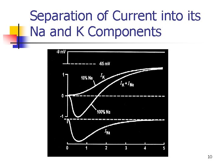 Separation of Current into its Na and K Components 10 