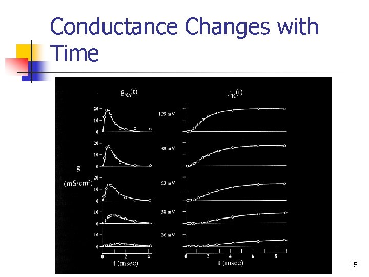 Conductance Changes with Time 15 