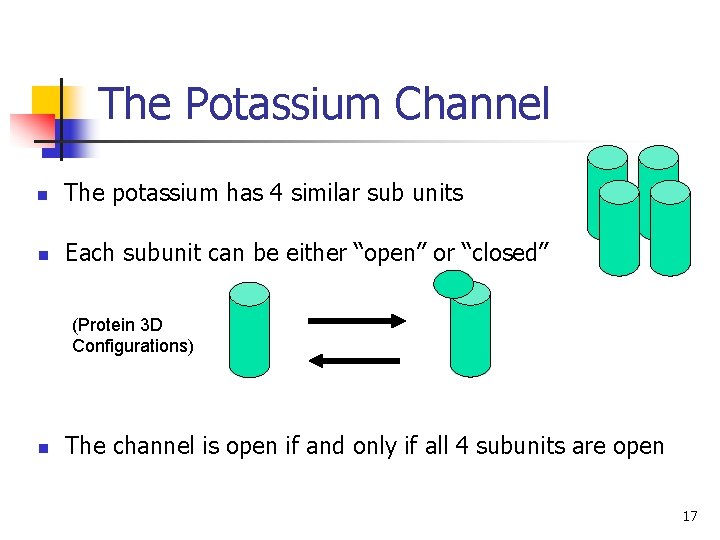 The Potassium Channel n The potassium has 4 similar sub units n Each subunit
