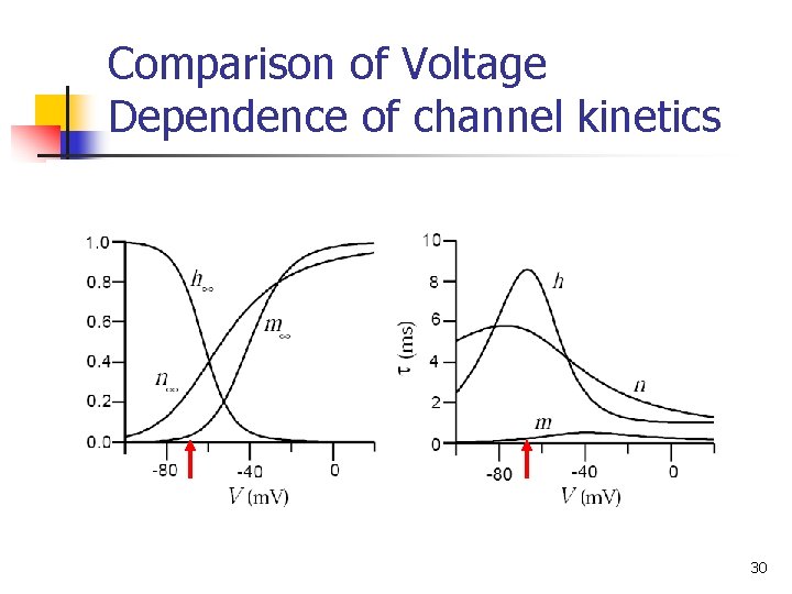 Comparison of Voltage Dependence of channel kinetics 30 