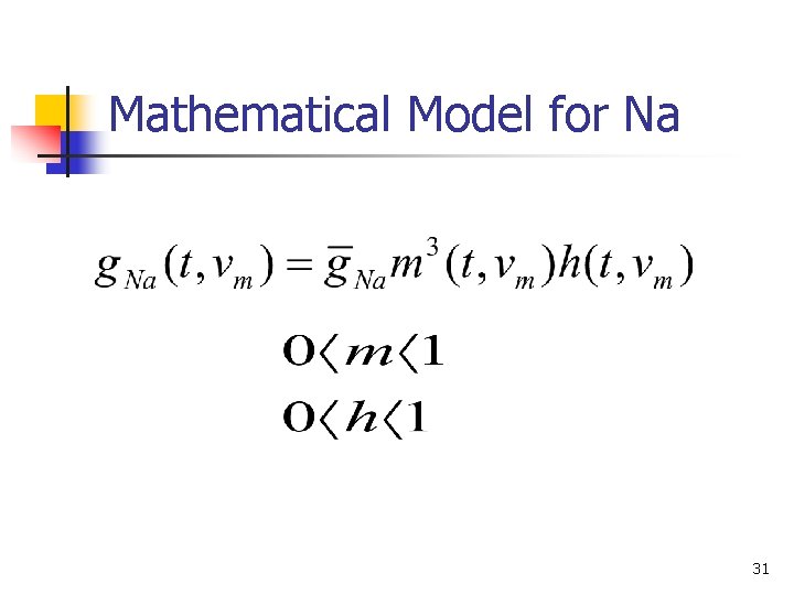 Mathematical Model for Na 31 