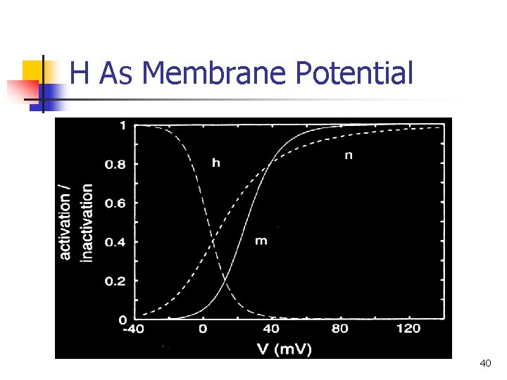H As Membrane Potential 40 