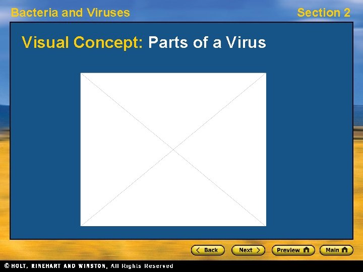 Bacteria and Viruses Visual Concept: Parts of a Virus Section 2 