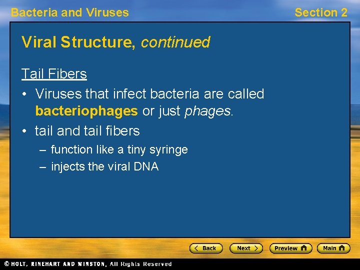 Bacteria and Viruses Viral Structure, continued Tail Fibers • Viruses that infect bacteria are