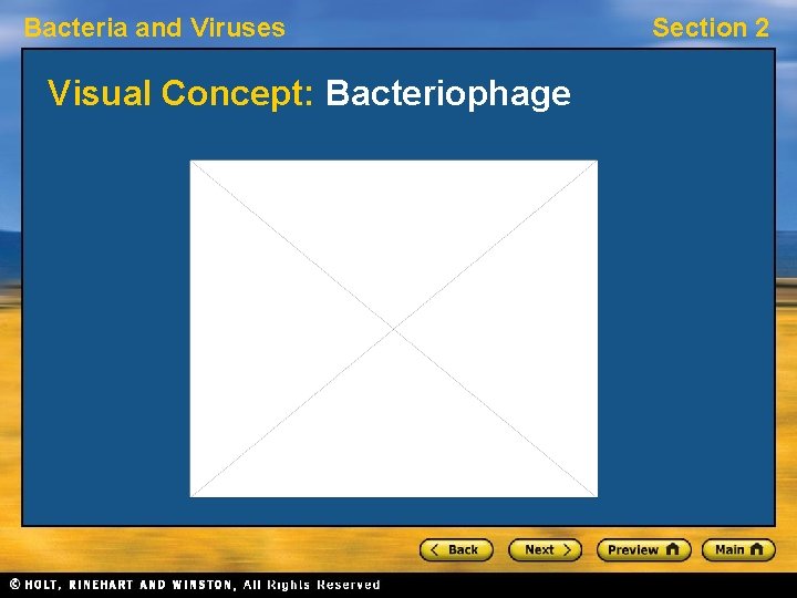 Bacteria and Viruses Visual Concept: Bacteriophage Section 2 