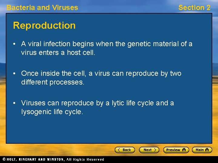 Bacteria and Viruses Section 2 Reproduction • A viral infection begins when the genetic