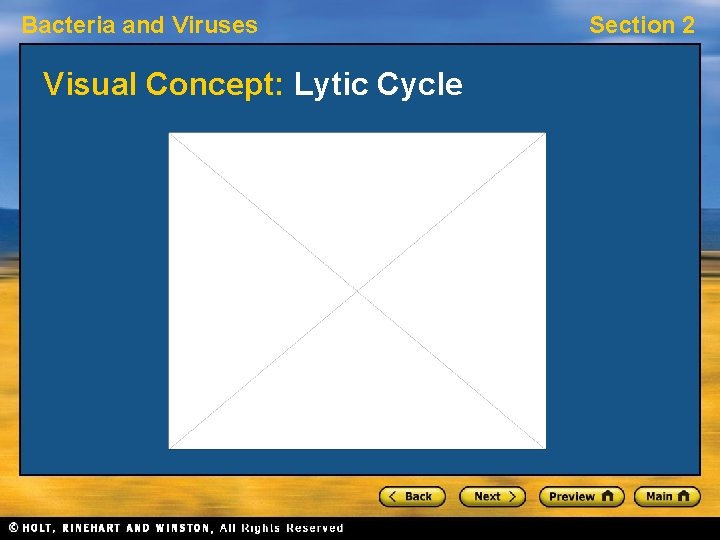 Bacteria and Viruses Visual Concept: Lytic Cycle Section 2 