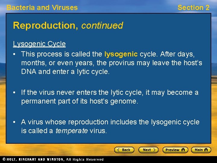 Bacteria and Viruses Section 2 Reproduction, continued Lysogenic Cycle • This process is called