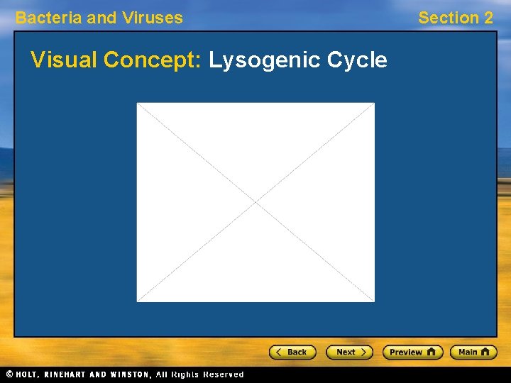 Bacteria and Viruses Visual Concept: Lysogenic Cycle Section 2 