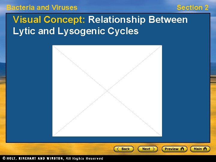 Bacteria and Viruses Section 2 Visual Concept: Relationship Between Lytic and Lysogenic Cycles 