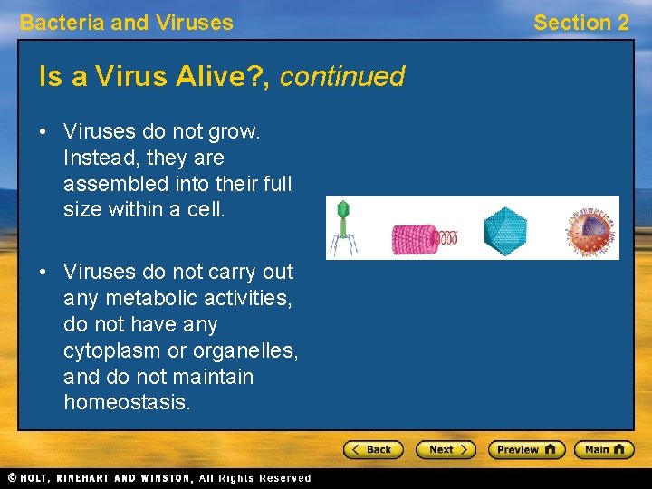 Bacteria and Viruses Is a Virus Alive? , continued • Viruses do not grow.