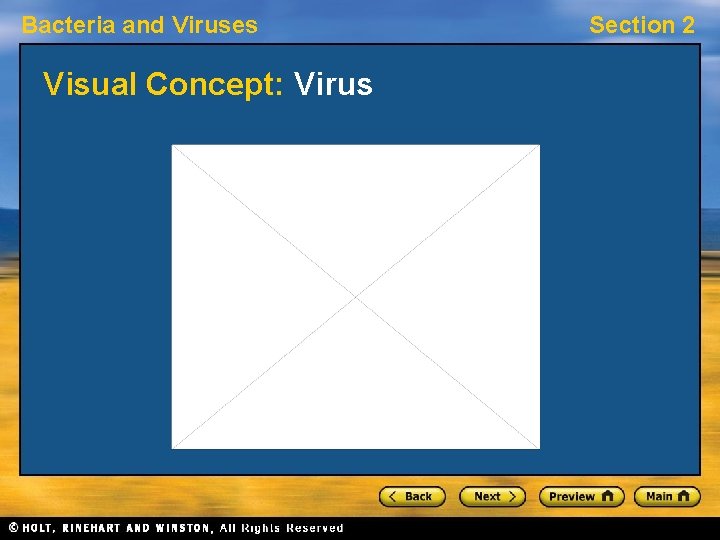 Bacteria and Viruses Visual Concept: Virus Section 2 