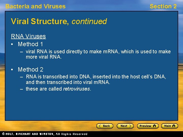 Bacteria and Viruses Section 2 Viral Structure, continued RNA Viruses • Method 1 –