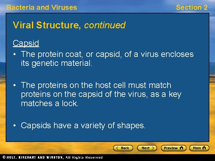 Bacteria and Viruses Section 2 Viral Structure, continued Capsid • The protein coat, or