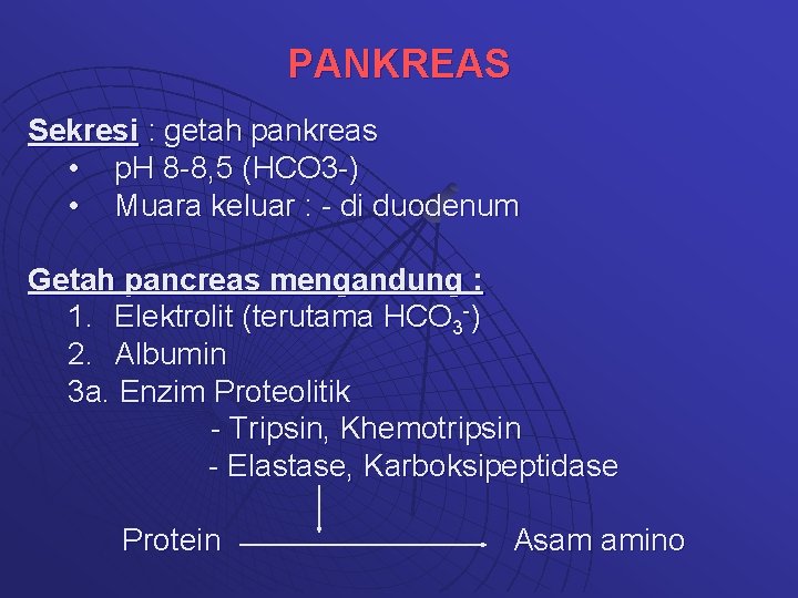 PANKREAS Sekresi : getah pankreas • p. H 8 -8, 5 (HCO 3 -)