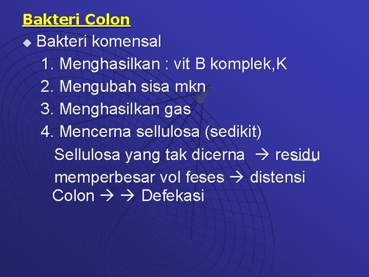 Bakteri Colon u Bakteri komensal 1. Menghasilkan : vit B komplek, K 2. Mengubah
