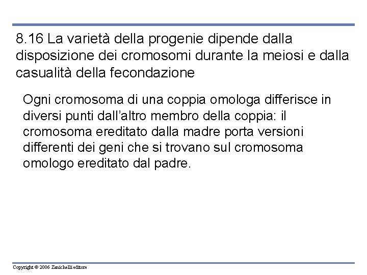 8. 16 La varietà della progenie dipende dalla disposizione dei cromosomi durante la meiosi
