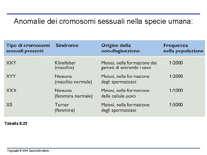 Anomalie dei cromosomi sessuali nella specie umana: Tabella 8. 23 Copyright © 2006 Zanichelli