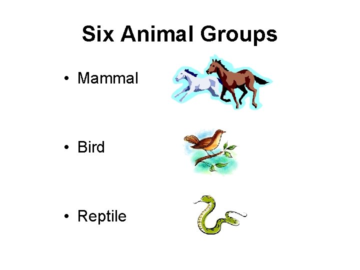 Six Animal Groups • Mammal • Bird • Reptile 